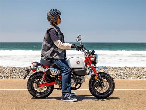Honda Monkey Parts – Bikes Trikes and Quads LLC