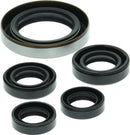 QuadBoss 06-07 Polaris Outlaw 500 Oil Seal Set for Engine and Transmission Rebuild