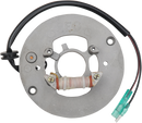 RICK'S MOTORSPORT ELECTRIC STATOR YAMAHA 21-906