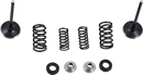 MOOSE OFFROAD Valve and Spring Kit - Honda CRF250L M30-33680