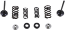MOOSE OFFROAD Valve and Spring Kit - Honda CRF250L M30-33690