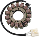 RICK'S MOTORSPORT ELECTRIC OE Style Stator - Aprilia 21-037