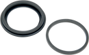 DRAG SPECIALTIES Rear Caliper Seal Kit - Dual Piston - 80-87 FL 20667-HC3