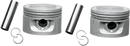 DRAG SPECIALTIES Piston - Evolution 750743-BX-LB1