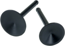S&S CYCLE Intake Valve - 1.95" - Big Twin '66-'84 90-2015