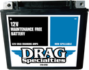 DRAG SPECIALTIES AGM Battery - YTX20H FT CTX20H FA FT