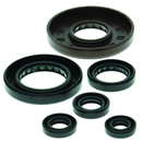 QuadBoss Oil Seal Set for Honda TRX450 FourTrax Foreman 4x4 S/ES 1998-2002