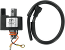 RICK'S MOTORSPORT ELECTRIC Hot Shot Ignition Coil - Yamaha 23-401