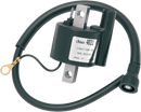 RICK'S MOTORSPORT ELECTRIC Hot Shot Ignition Coil - Yamaha 23-403