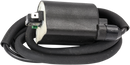 RICK'S MOTORSPORT ELECTRIC Ignition Coil - Honda/Kawasaki 23-104