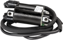 RICK'S MOTORSPORT ELECTRIC ignition Coil - Honda 23-105