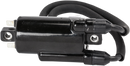 RICK'S MOTORSPORT ELECTRIC ignition Coil - Honda 23-108