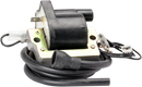 RICK'S MOTORSPORT ELECTRIC ignition Coil - Kawasaki 23-202