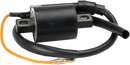 RICK'S MOTORSPORT ELECTRIC ignition Coil - Yamaha 23-405