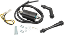 RICK'S MOTORSPORT ELECTRIC Ignition Coil - Honda 23-102