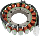 RICK'S MOTORSPORT ELECTRIC Stator - Kawasaki 21-217