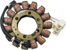 RICK'S MOTORSPORT ELECTRIC Stator - Aprilia 21-030