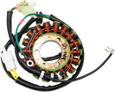 RICK'S MOTORSPORT ELECTRIC Stator - Honda 21-149