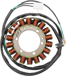 RICK'S MOTORSPORT ELECTRIC Stator - Honda 21-637