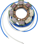 RICK'S MOTORSPORT ELECTRIC Stator - Kawasaki 21-719