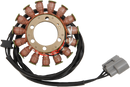 RICK'S MOTORSPORT ELECTRIC Stator - Ducati 21-032