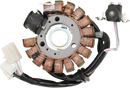 RICK'S MOTORSPORT ELECTRIC Stator - Benelli Scooter 21-427