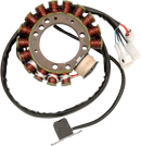 RICK'S MOTORSPORT ELECTRIC Stator - Yamaha 21-911
