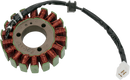 RICK'S MOTORSPORT ELECTRIC Stator - Suzuki 21-308