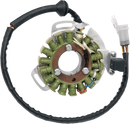 RICK'S MOTORSPORT ELECTRIC High-Output Stator - Yamaha 21-903H