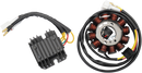 RICK'S MOTORSPORT ELECTRIC Charging Kit - Yamaha 99-400