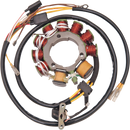 RICK'S MOTORSPORT ELECTRIC Stator 21-551