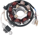 RICK'S MOTORSPORT ELECTRIC High-Output Stator - Honda 21-602H