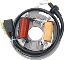 RICK'S MOTORSPORT ELECTRIC High-Output Stator - Kawasaki 21-705H