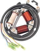 RICK'S MOTORSPORT ELECTRIC High-Output Stator - Suzuki 21-802H