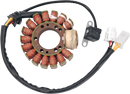 RICK'S MOTORSPORT ELECTRIC Stator - Yamaha 21-912