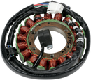 RICK'S MOTORSPORT ELECTRIC High-Output Stator - Yamaha 21-968H