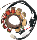 RICK'S MOTORSPORT ELECTRIC Stator - Arctic Cat 24-001