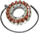 RICK'S MOTORSPORT ELECTRIC Stator - Aprilia 21-003