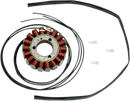 RICK'S MOTORSPORT ELECTRIC Stator - Suzuki 21-309
