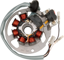 RICK'S MOTORSPORT ELECTRIC Stator 21-550