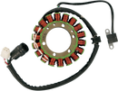 RICK'S MOTORSPORT ELECTRIC Stator - Yamaha 21-901