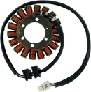 RICK'S MOTORSPORT ELECTRIC Stator - Honda 21-121