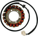 RICK'S MOTORSPORT ELECTRIC Stator - Triumph 21-006