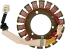 RICK'S MOTORSPORT ELECTRIC Stator - Kawasaki 21-219