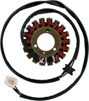 RICK'S MOTORSPORT ELECTRIC Stator - Suzuki 21-310