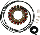 RICK'S MOTORSPORT ELECTRIC Stator - Yamaha 21-415