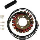 RICK'S MOTORSPORT ELECTRIC Stator - Suzuki 21-313