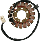 RICK'S MOTORSPORT ELECTRIC Stator - Suzuki 21-315