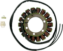 RICK'S MOTORSPORT ELECTRIC Stator - Suzuki 21-316
