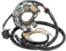 RICK'S MOTORSPORT ELECTRIC Stator 21-554